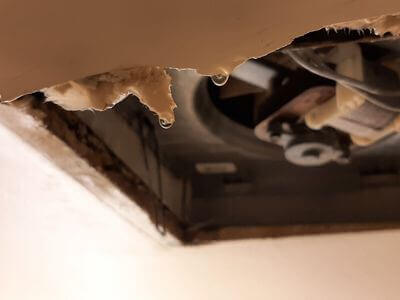 Professional basement flood restoration services services in Lawrence